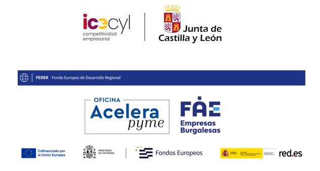 Jornada ayudas de ICECYL y nuevo servicio de subvenciones de FAE 1 icecyl